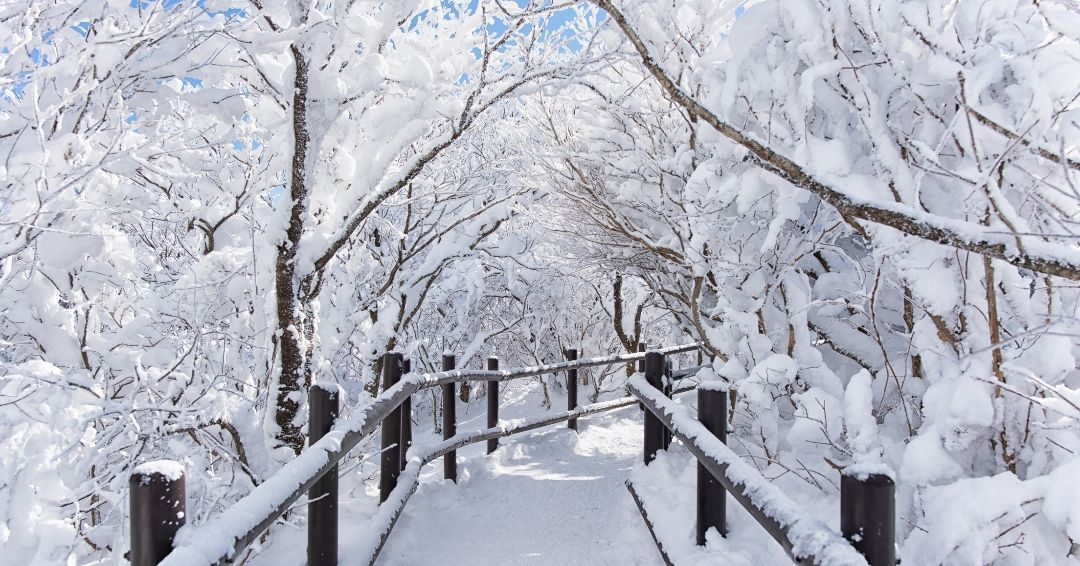 Switzerland in Winter: The Complete Guide — Visa Rules, Christmas Magic & Alpine Life
